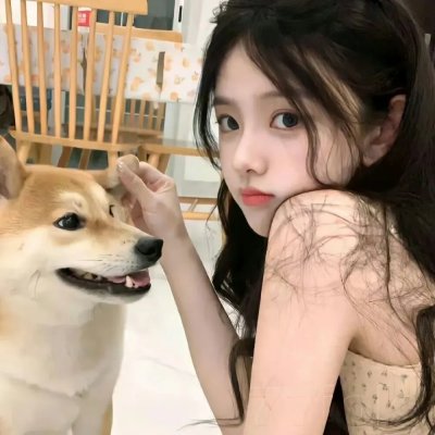 敦子求爱任务 在线观看