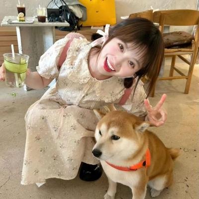 闪耀吧!中华文明 封面